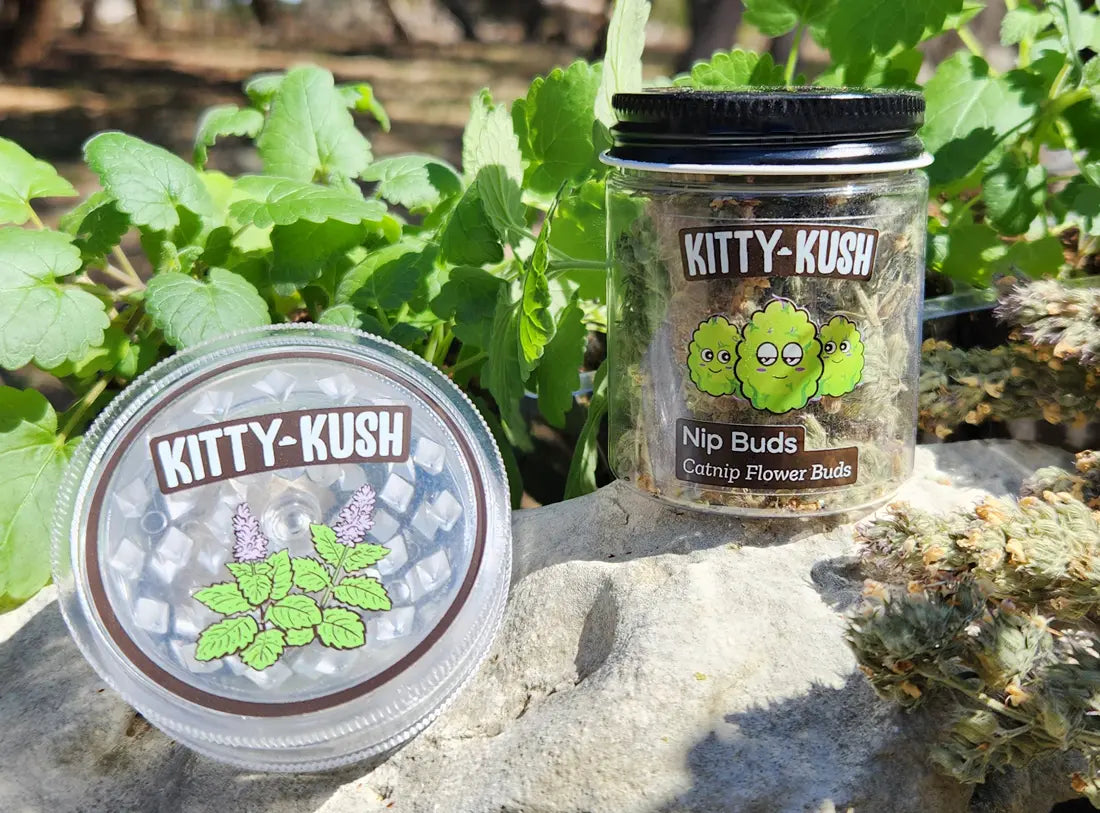 Kitty Kush Nip Buds: Catnip Flower Buds & Grinder