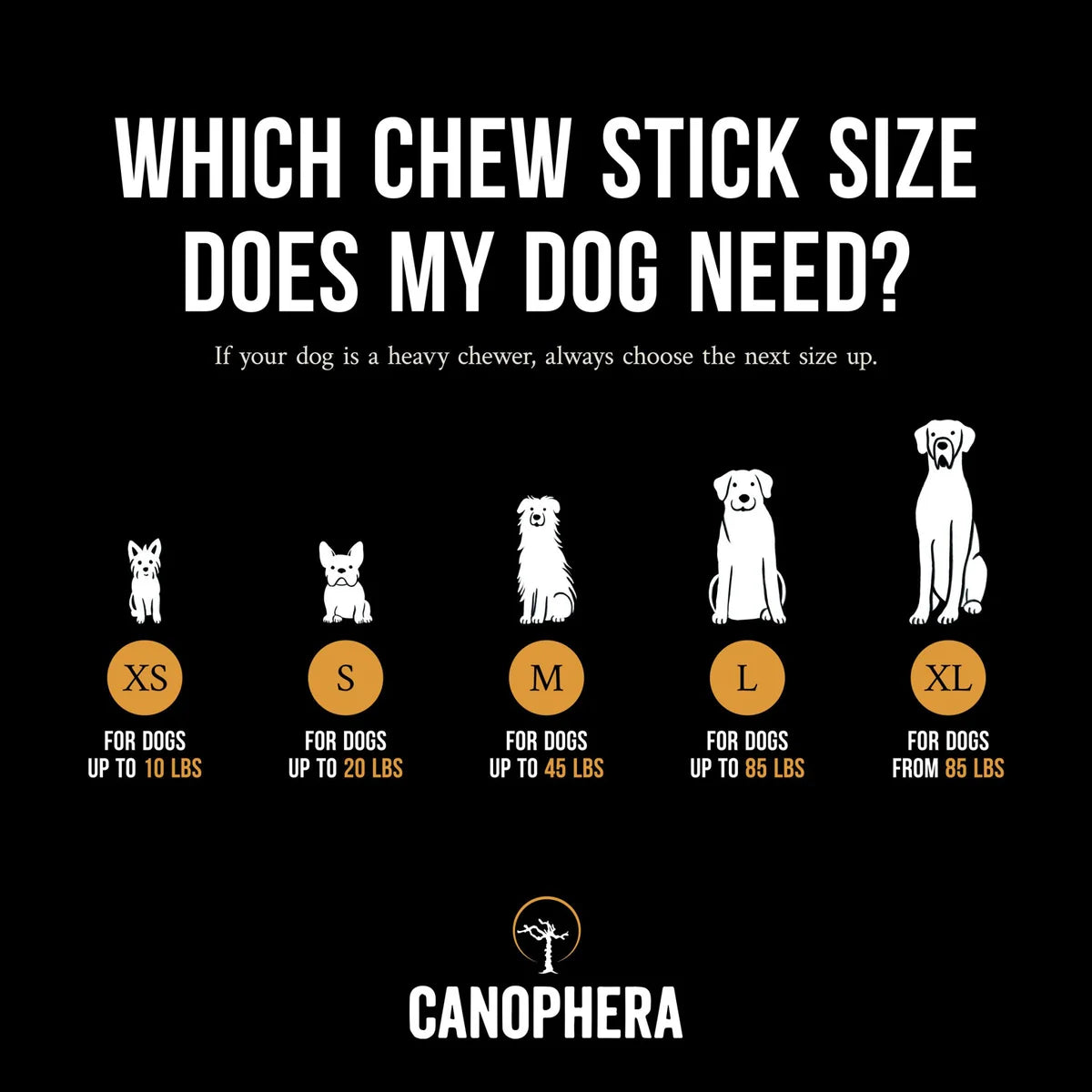 Coffee Wood Chew Sticks