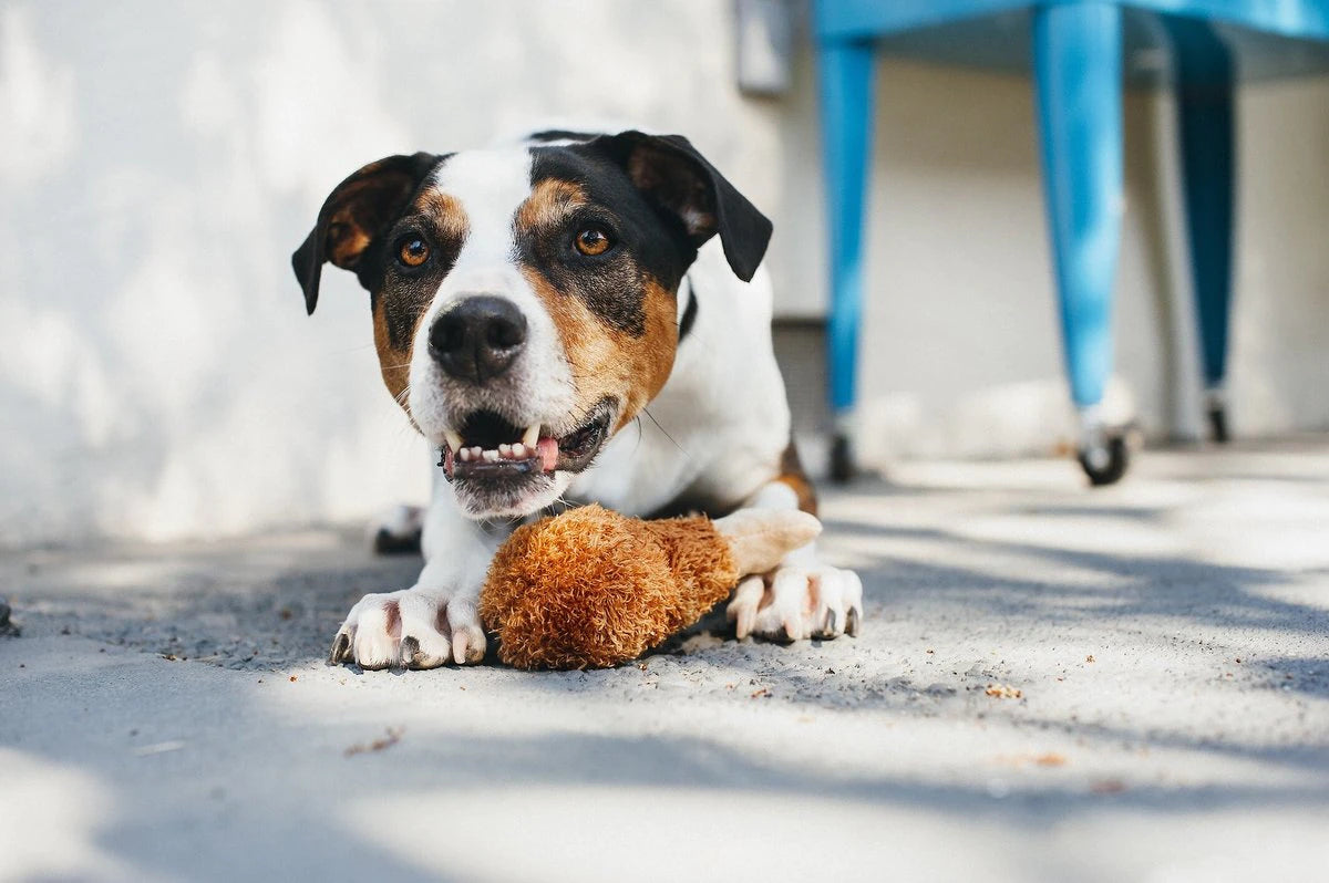 P.L.A.Y. American Classic Dog Toy - Fried Chicken