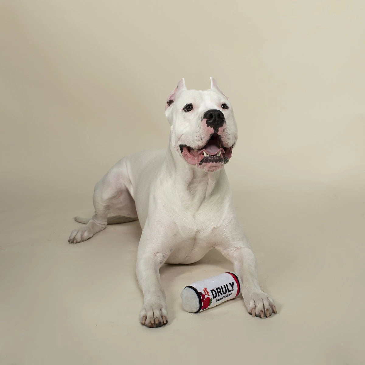 Baya Druly Barkin'