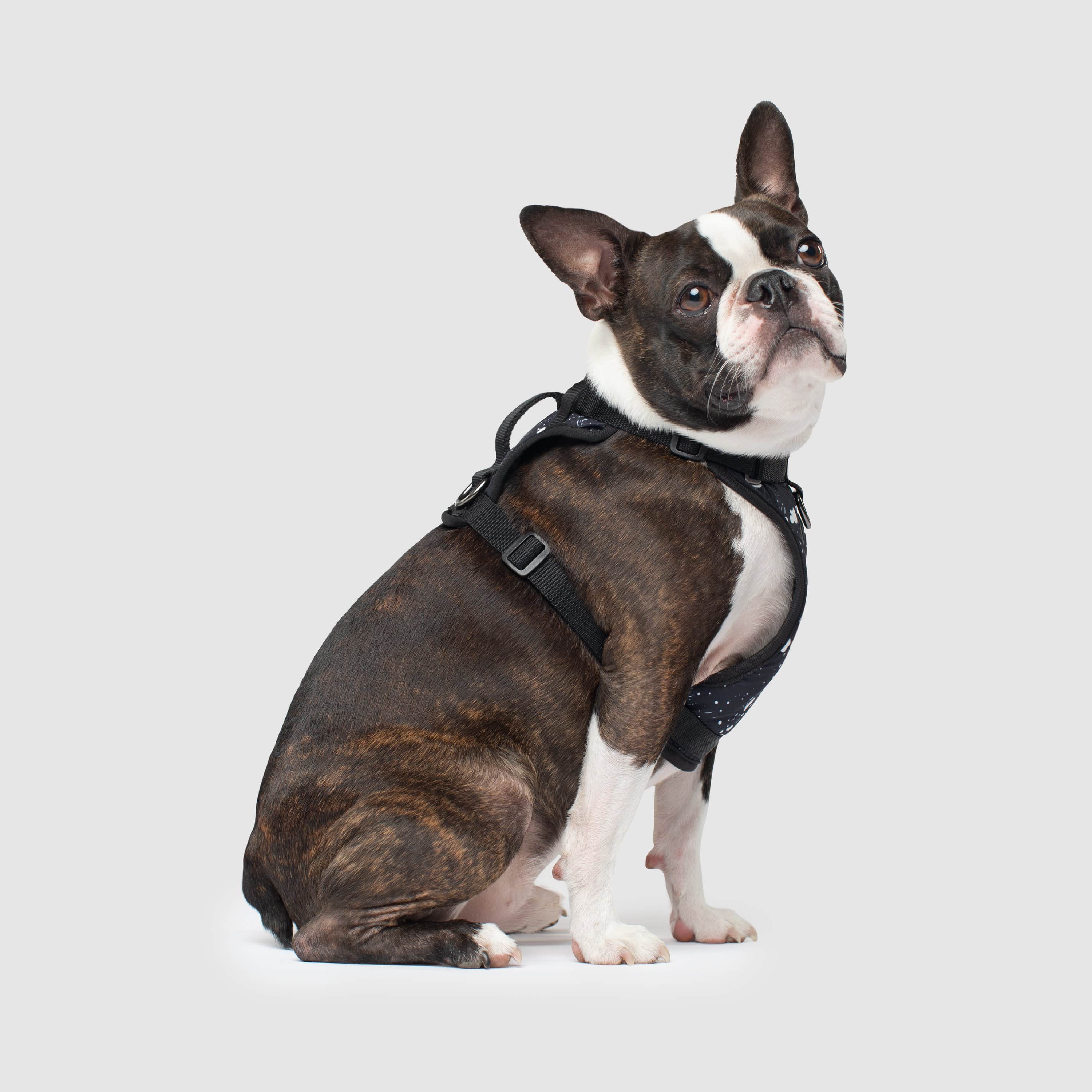 Canada Pooch The Everything Harness Water-Resistant Series - Splatter