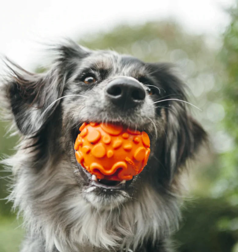 Pelota NovaFlex Nova