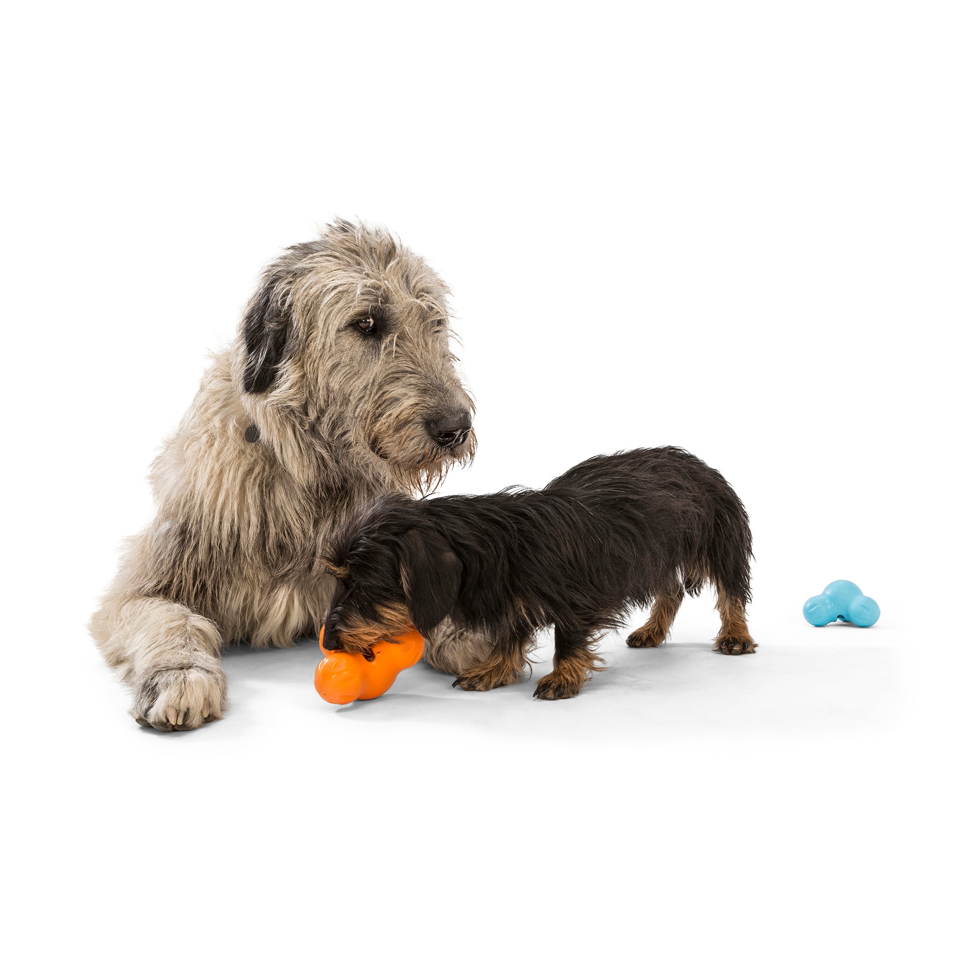 Esmoquin West Paw