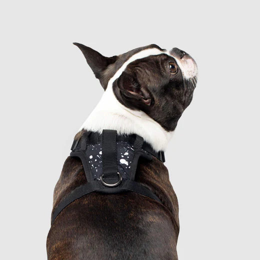 Canada Pooch The Everything Harness Water-Resistant Series - Splatter