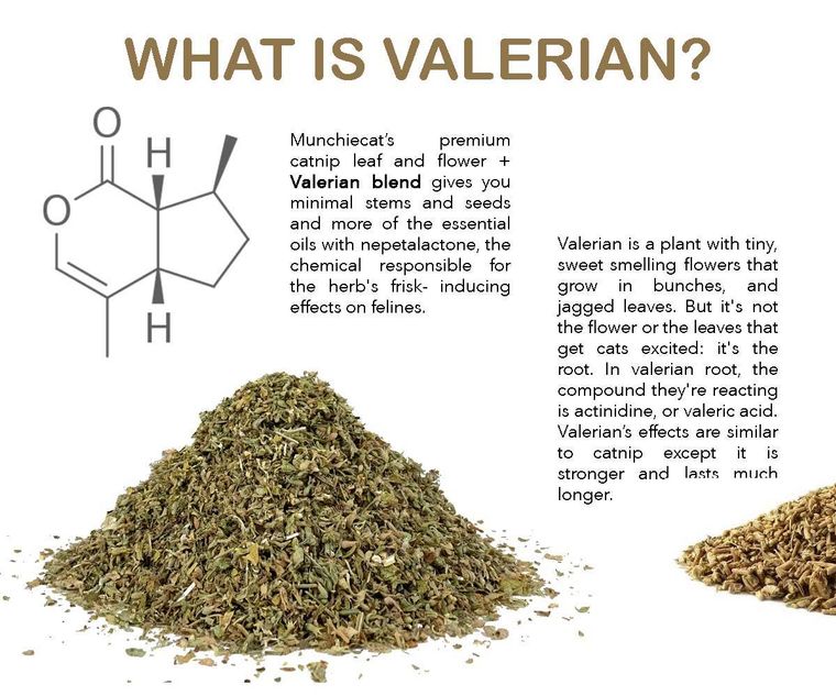 Hierba gatera orgánica + mezcla de raíz de valeriana cultivada en EE. UU. - (15 g)