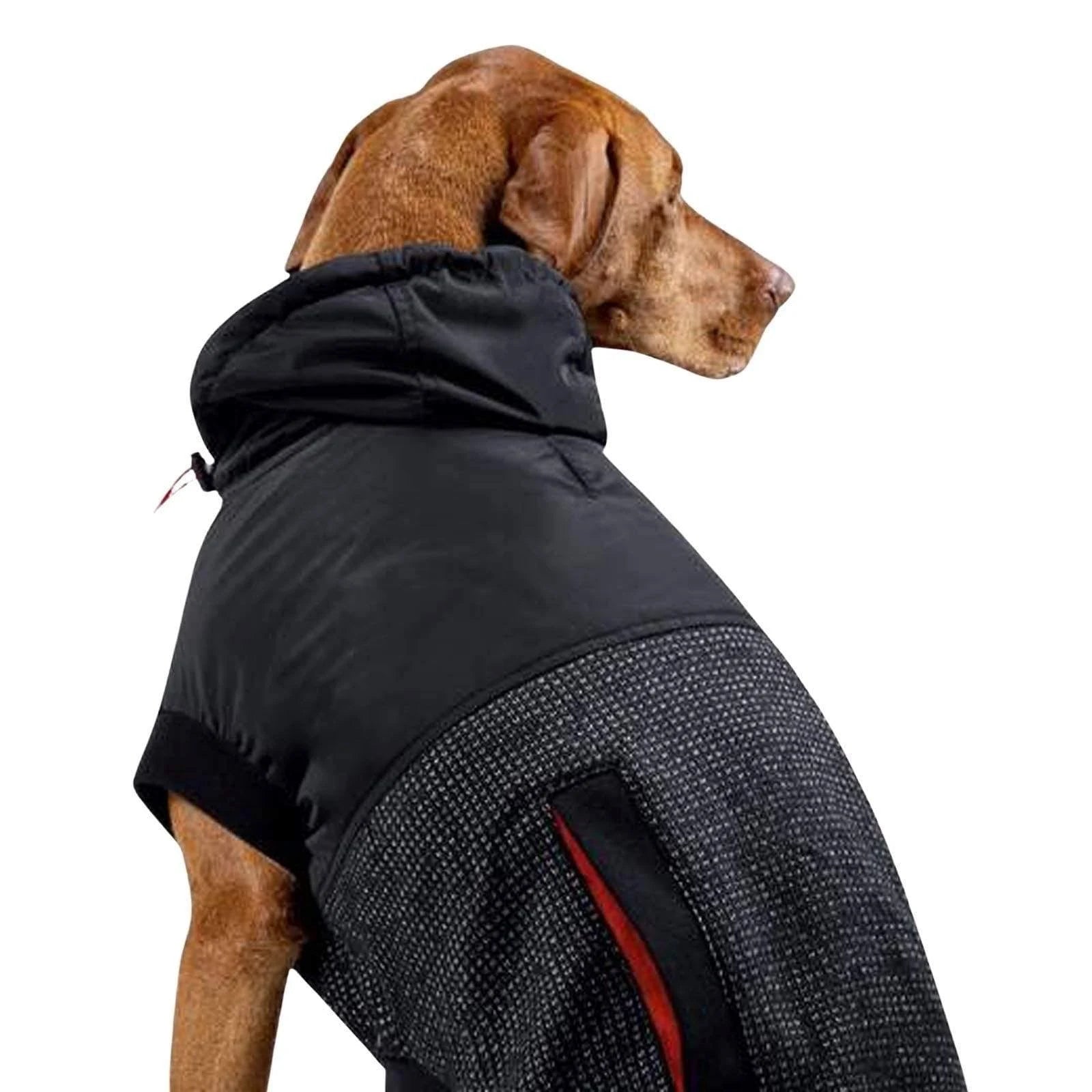 Canada Pooch Reflective Hybrid Jacket