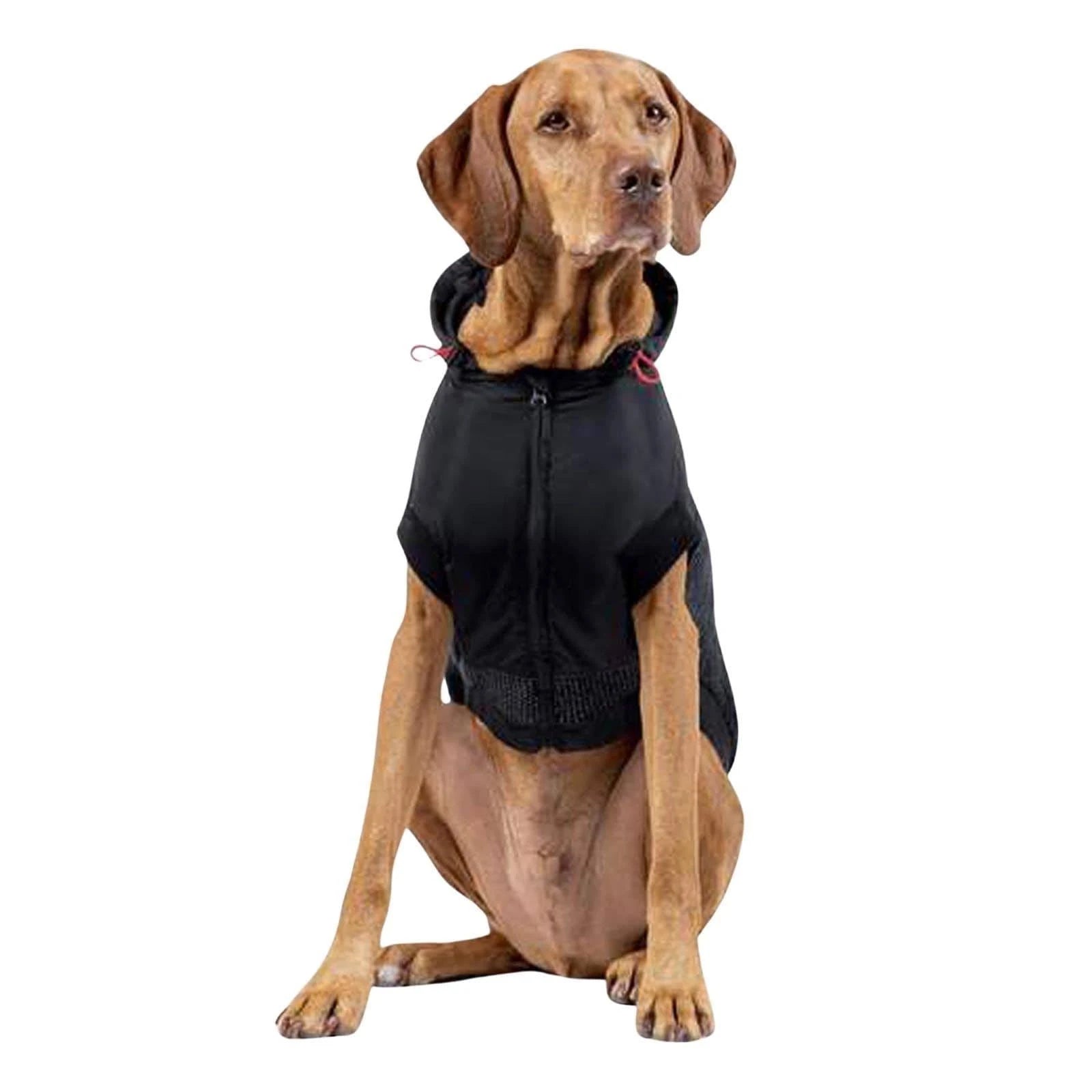Canada Pooch Reflective Hybrid Jacket