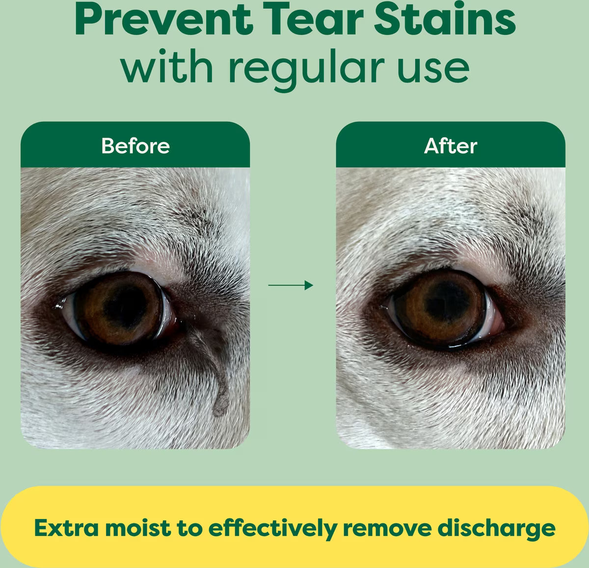 Earth Rated Dog Eye Cleansing Wipes 60ct