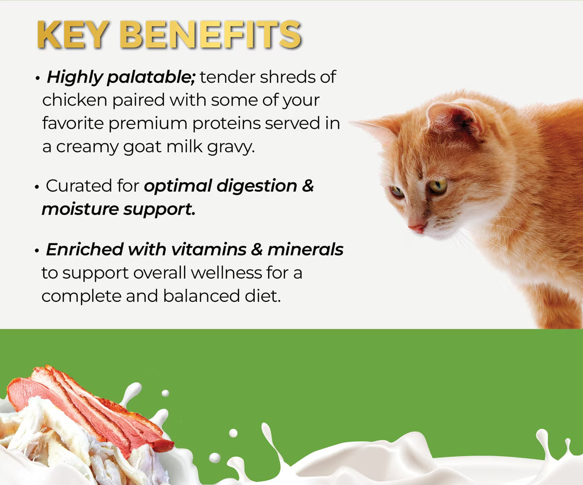 Fussie Cat Super Premium Chicken with Duck in Goat Milk Gravy Shredded Wet Cat Food, 2.47-oz can