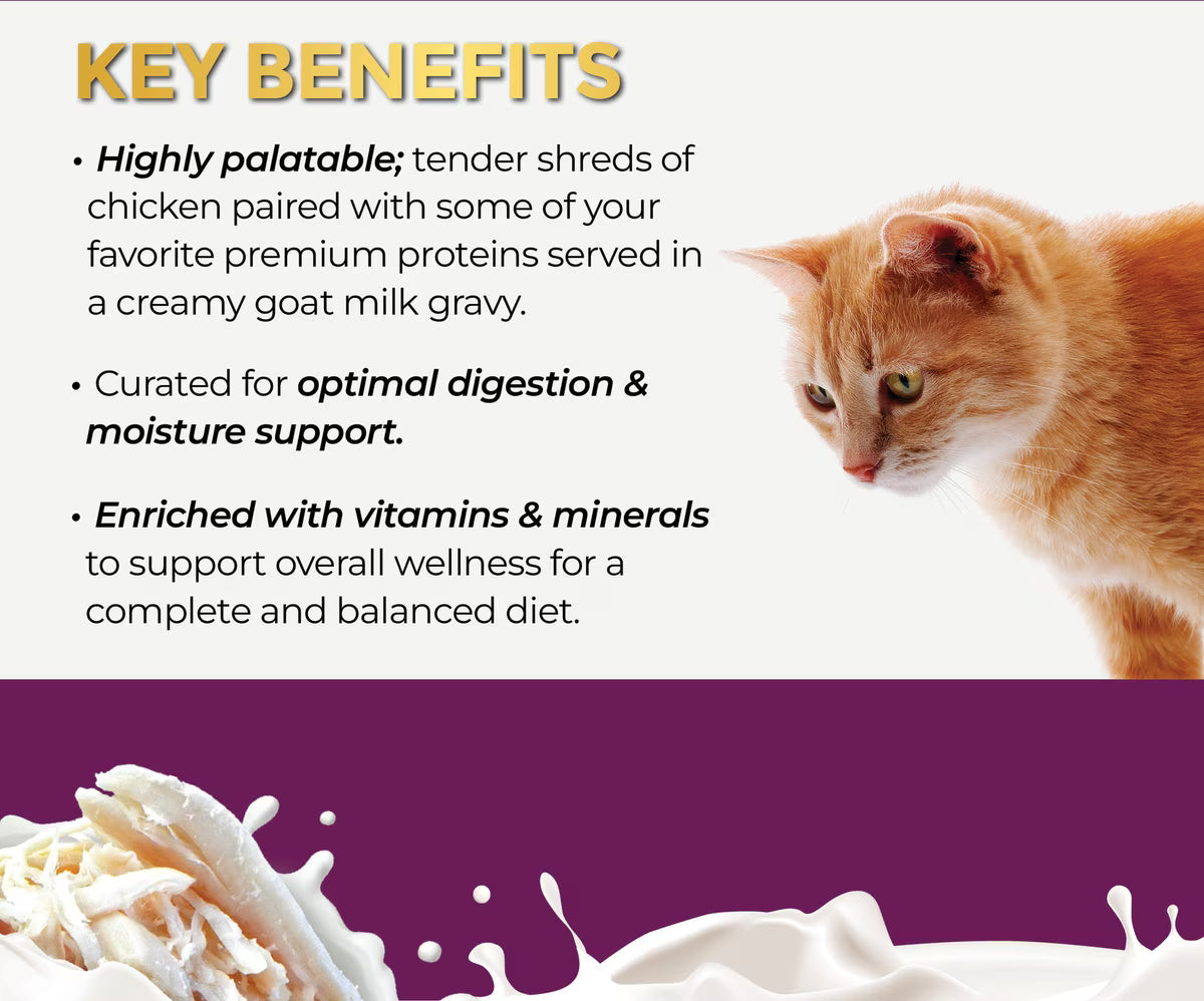 Fussie Cat Super Premium Chicken in Goat Milk Gravy Shredded Wet Cat Food, 2.47-oz can