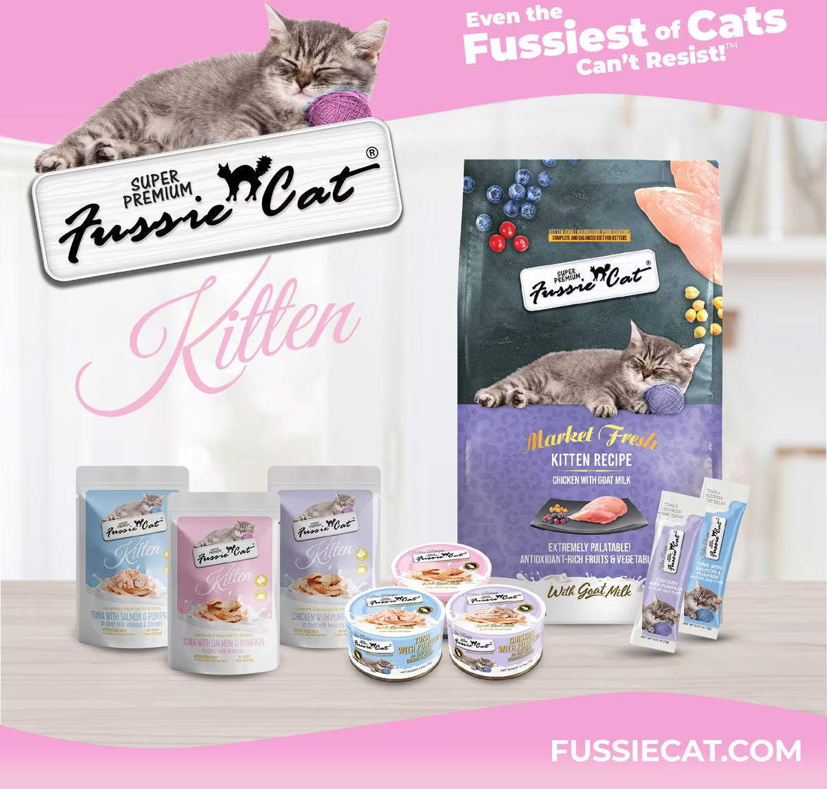 Fussie Cat Kitten Mousse Chicken & Tuna Flavored with Pumpkin in Goat Milk Wet Cat Food, 2.47-oz can