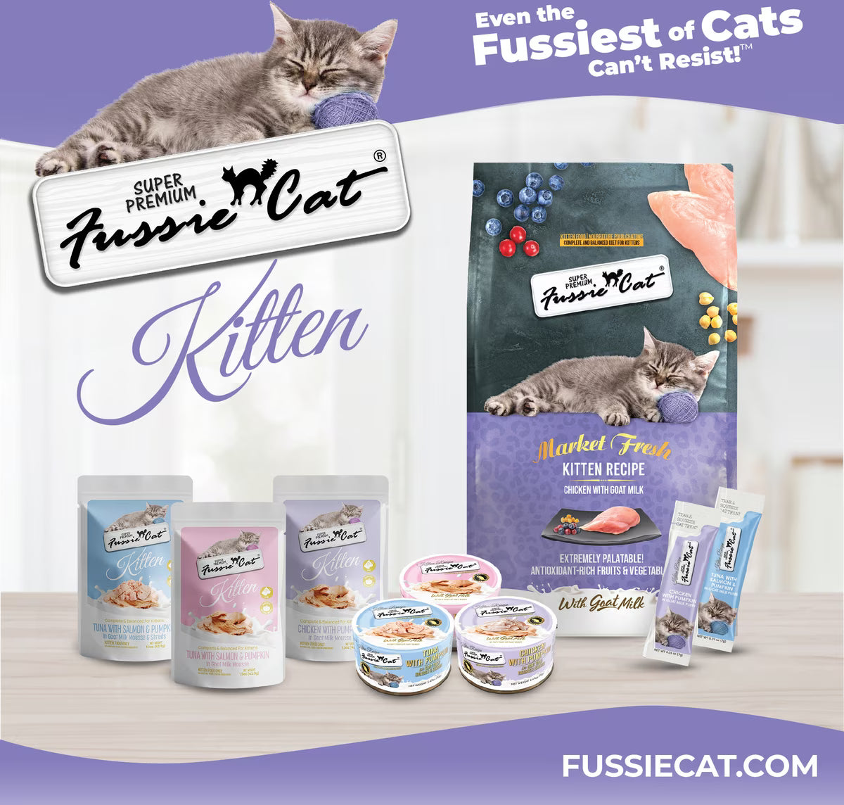 Fussie Cat Kitten Mousse Chicken Flavored with Pumpkin in Goat Milk Wet Cat Food & Shreds, 2.47-oz can