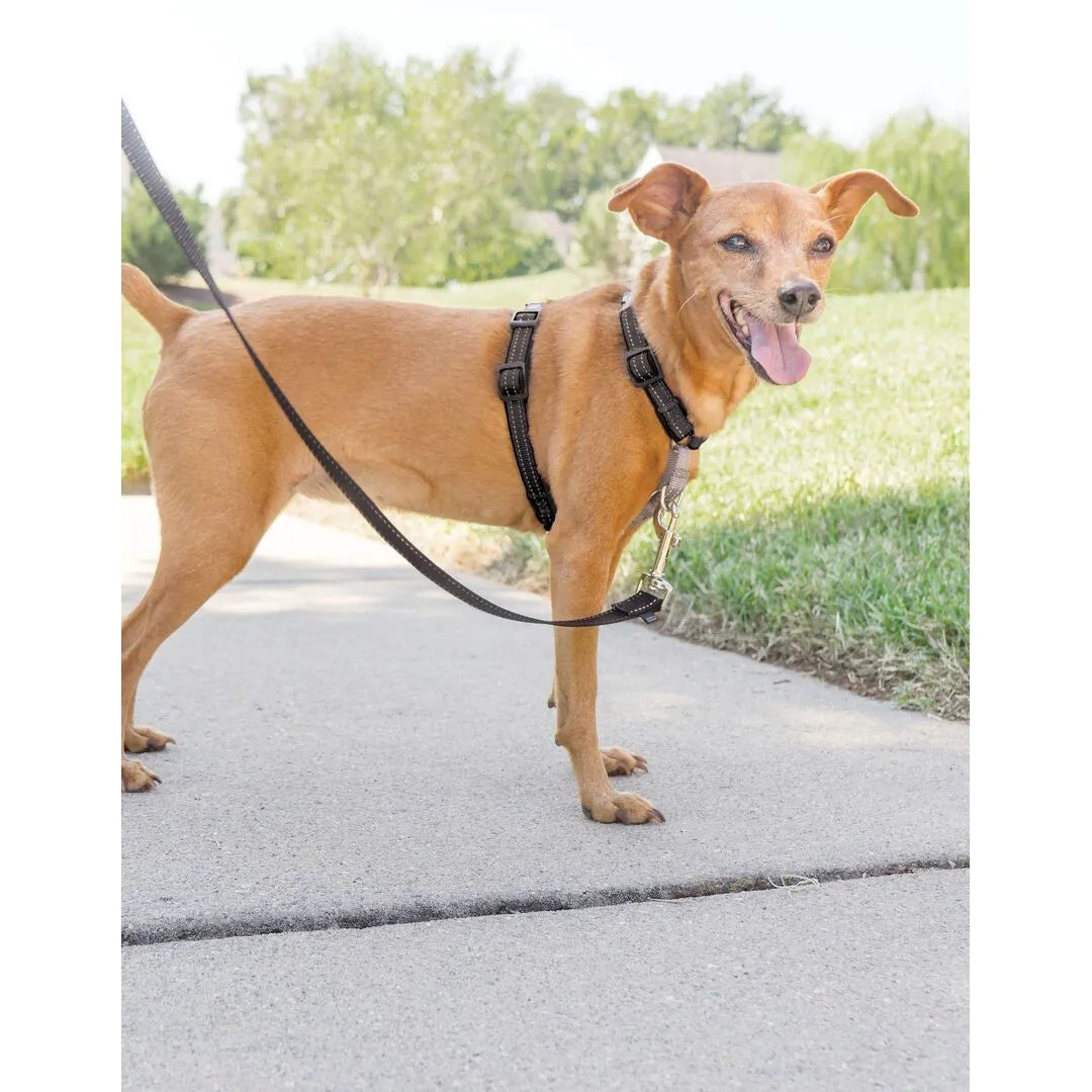 PetSafe 3 in 1 Harness