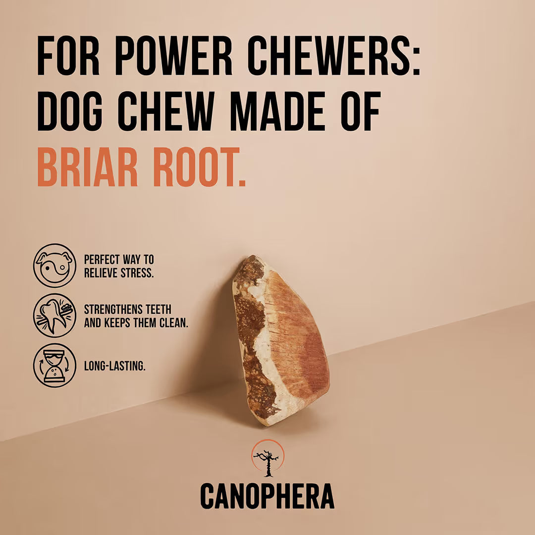 Briar Root Chews