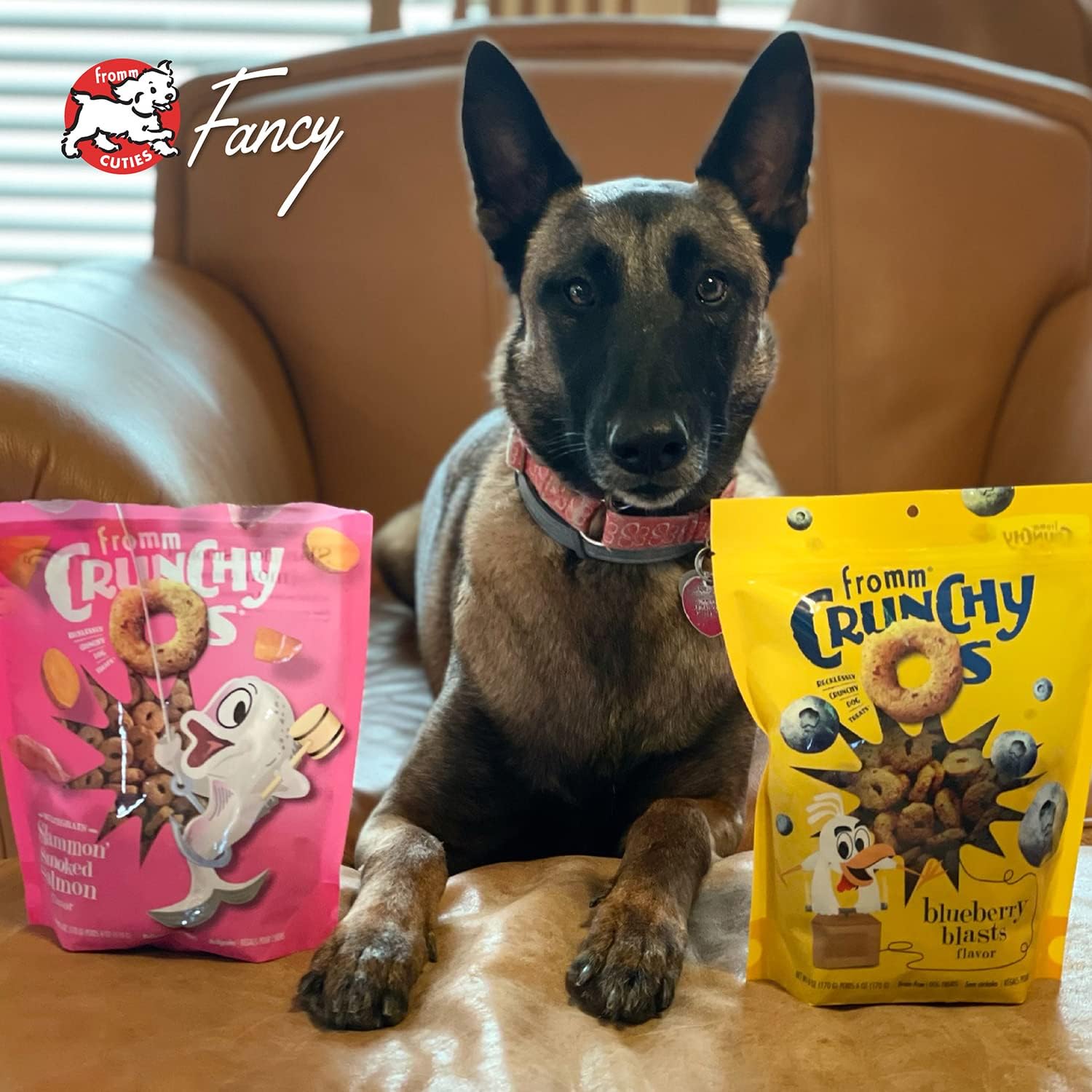 Fromm Dog Crunchy O'S Blueberry Blast 6oz