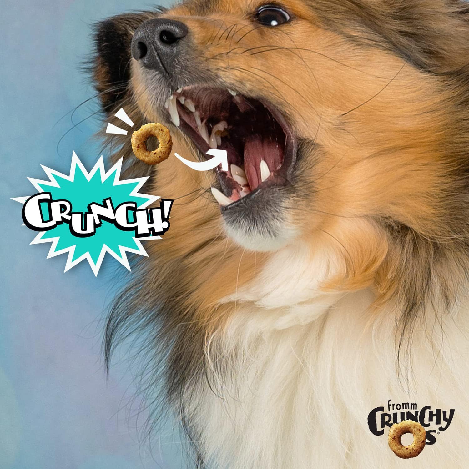 Fromm Dog Crunchy O'S Banana Kablammas 6oz