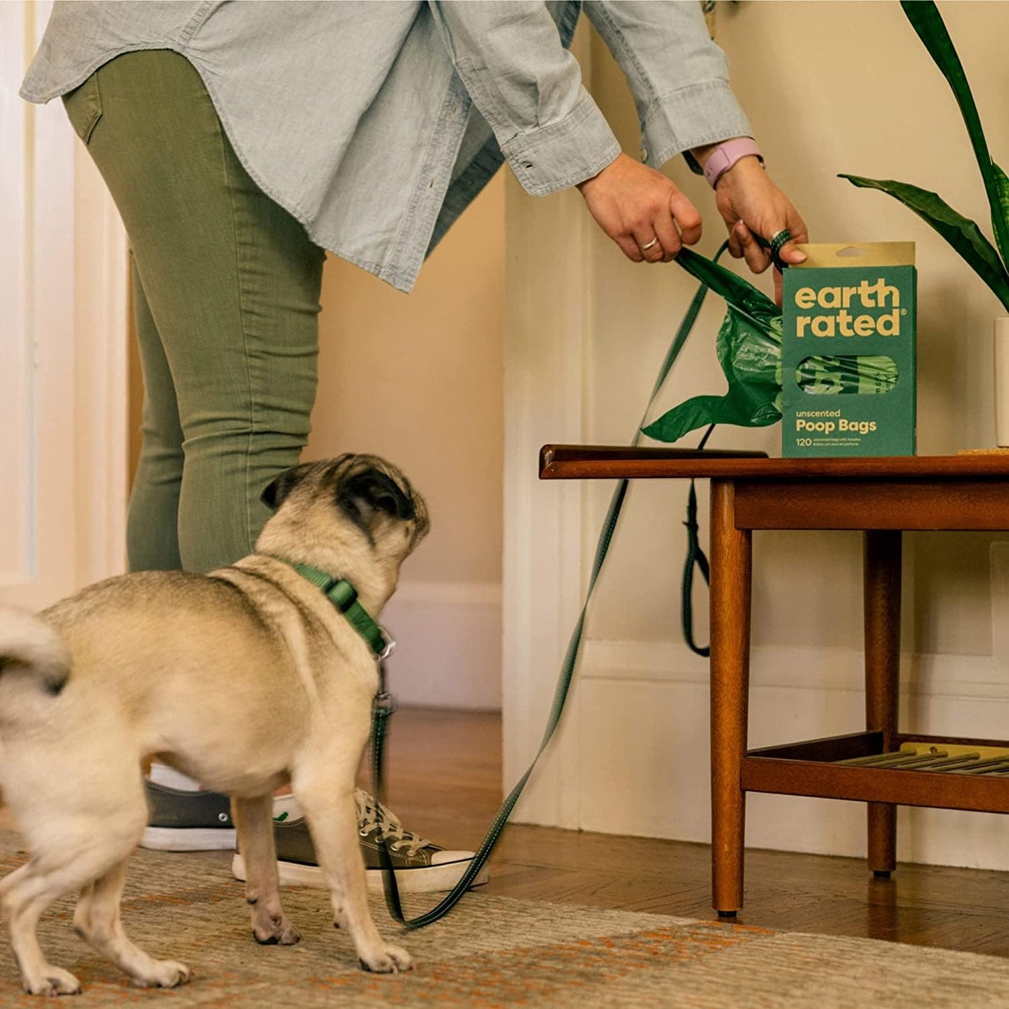 Bolsas para caca de perro con clasificación terrestre y asas