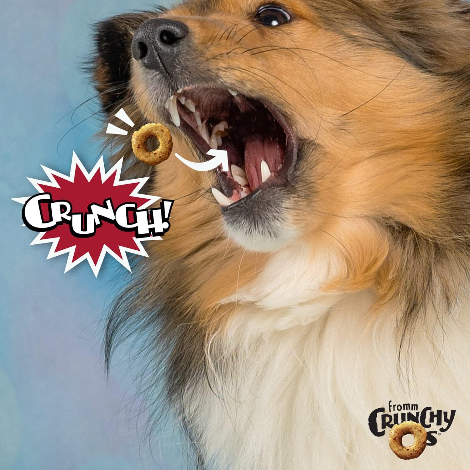 Fromm Dog Crunchy O'S Pot Roast Punchers 6oz