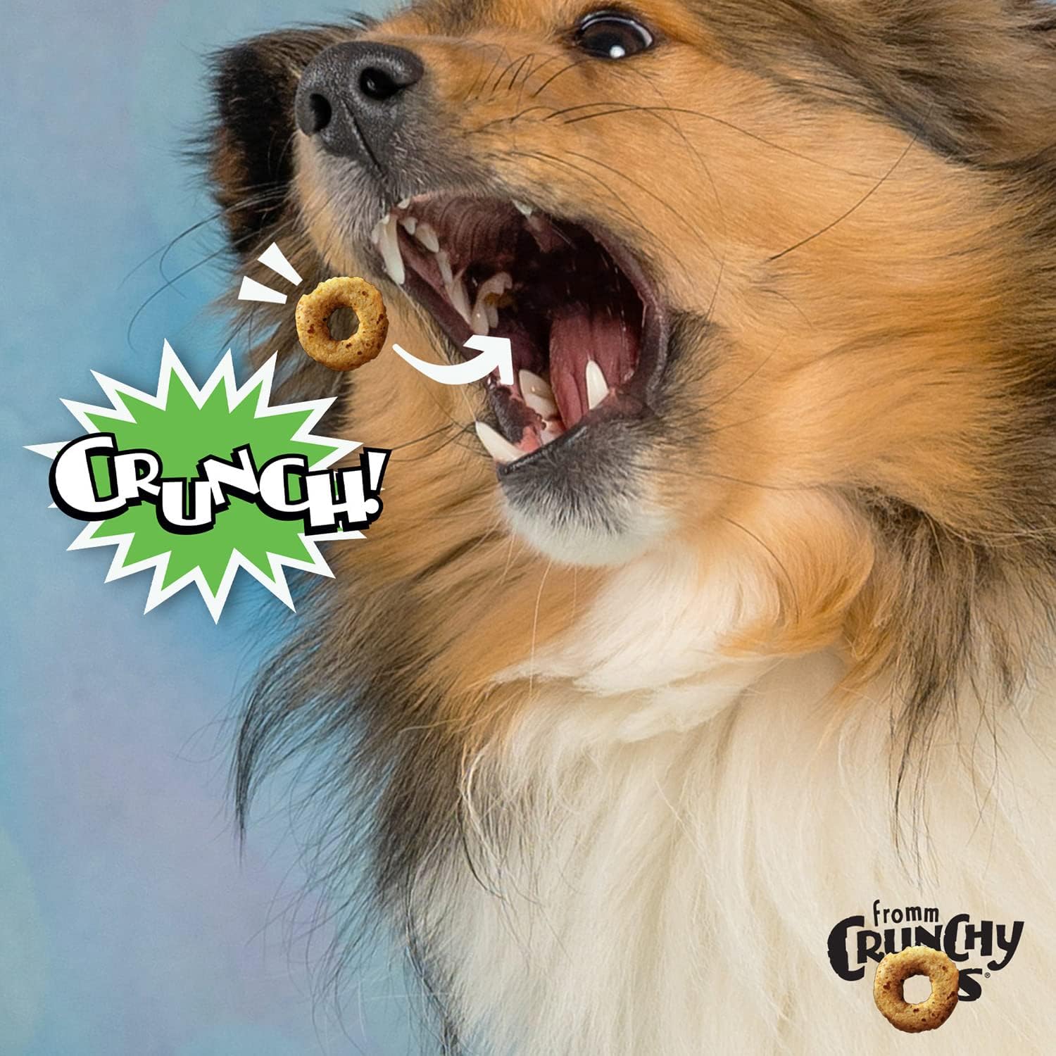 Fromm Dog Crunchy O'S Pumpkin Kran Pow 6oz