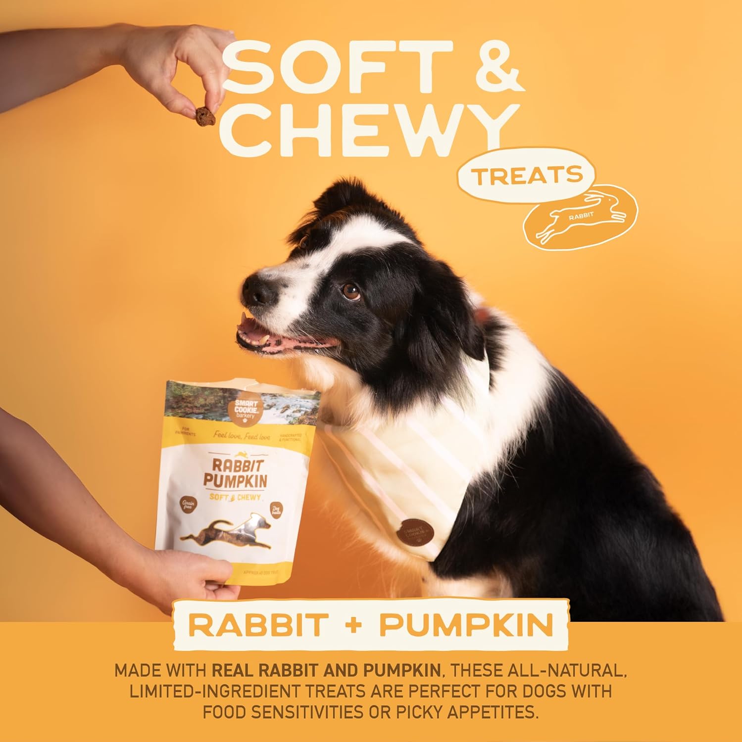 Smart Cookie Barkery Rabbit & Pumpkin Grain-Free Dog Treats, 5-oz bag