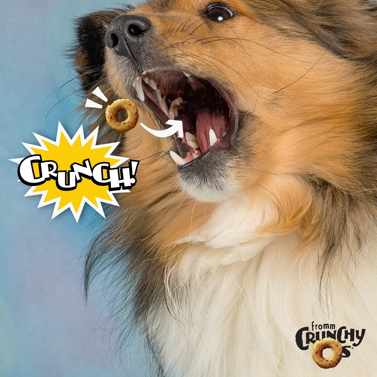 Fromm Dog Crunchy O'S Blueberry Blast 6oz