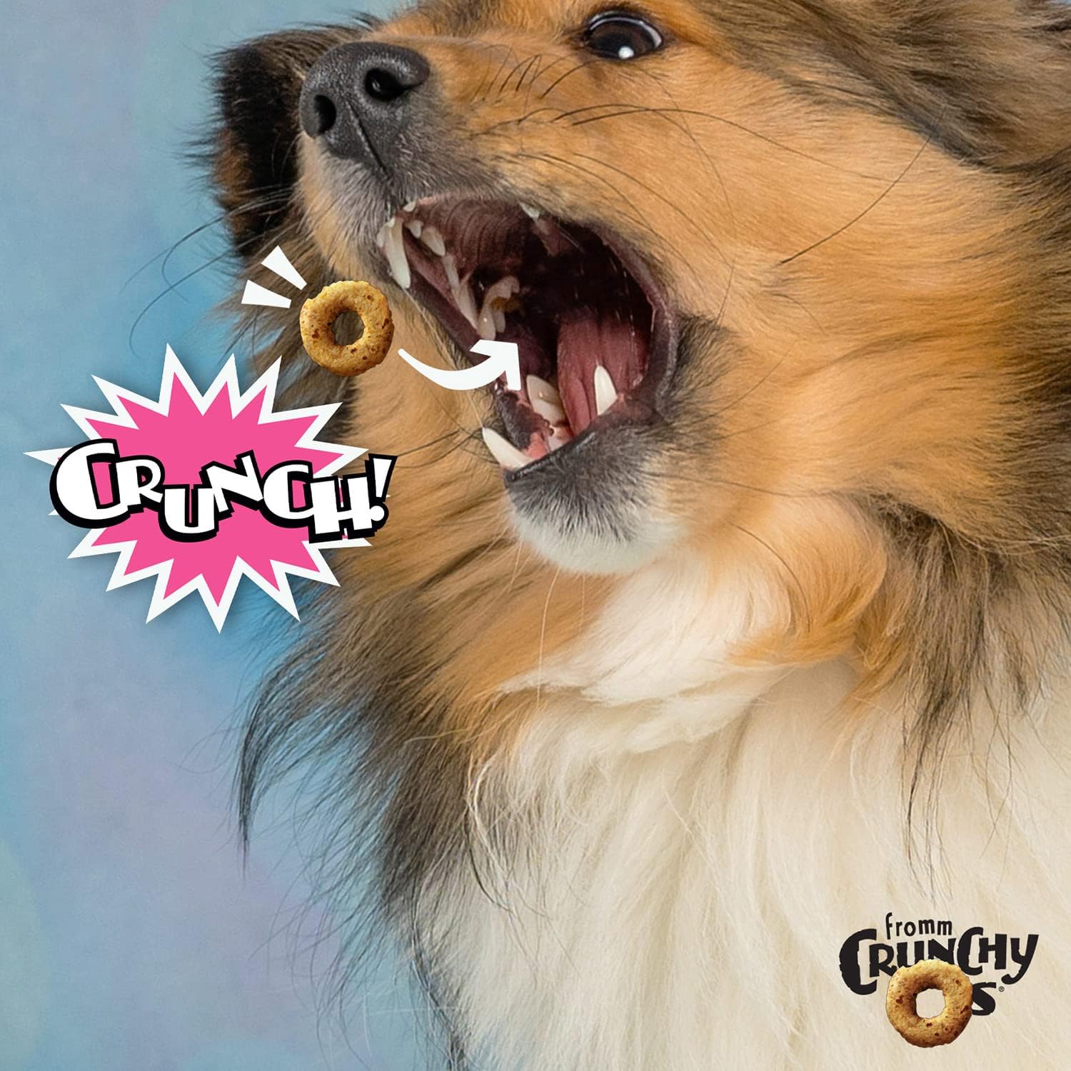 Fromm Dog Crunchy O'S Slammon' Smoked Salmon 6oz