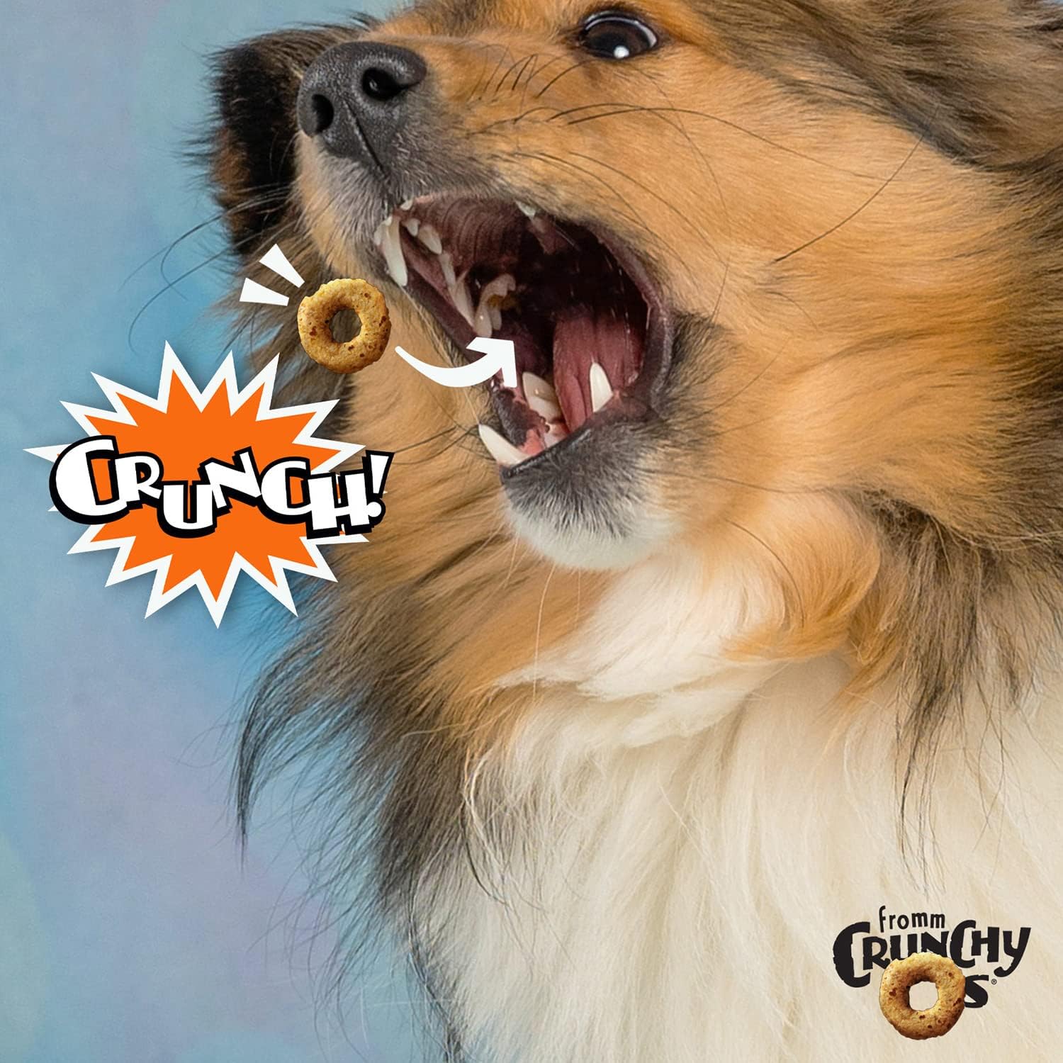 Fromm Dog Crunchy O'S Peanut Butter Jammers 6oz