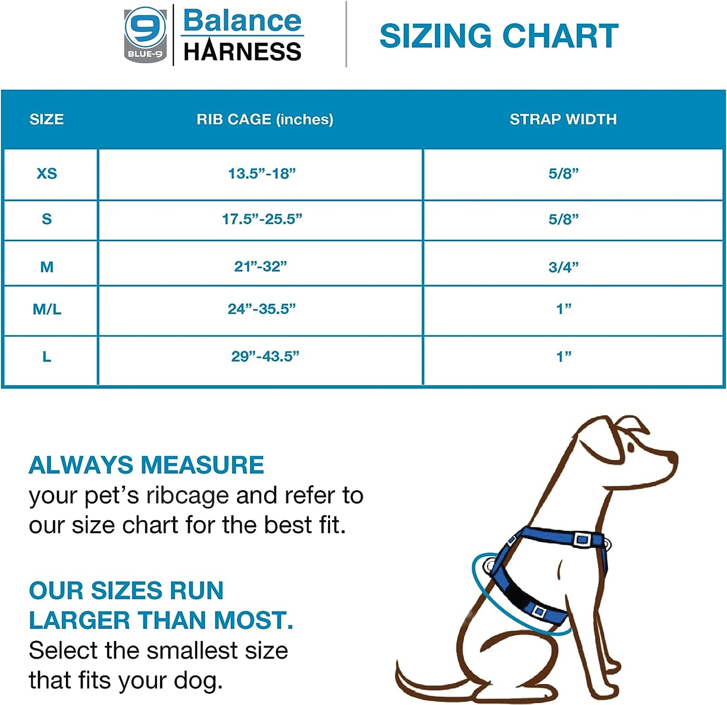 Balance Harness