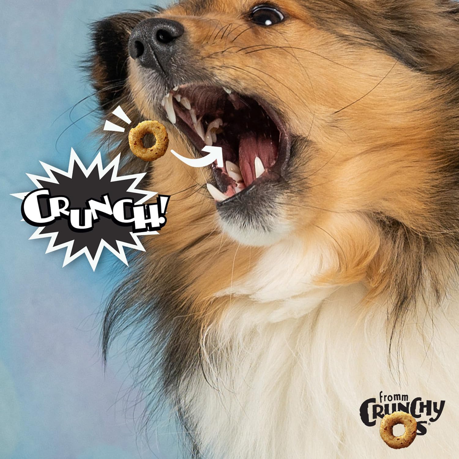 Fromm Dog Crunchy O'S Bacon Blasters 6oz