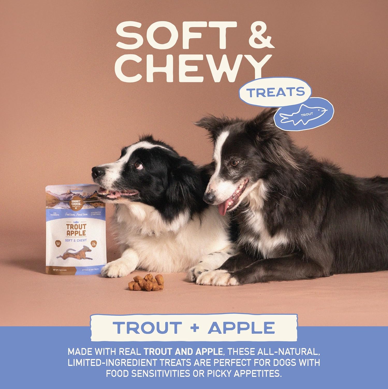 Smart Cookie Barkery Trout & Apple Grain-Free Dog Treats, 5-oz bag