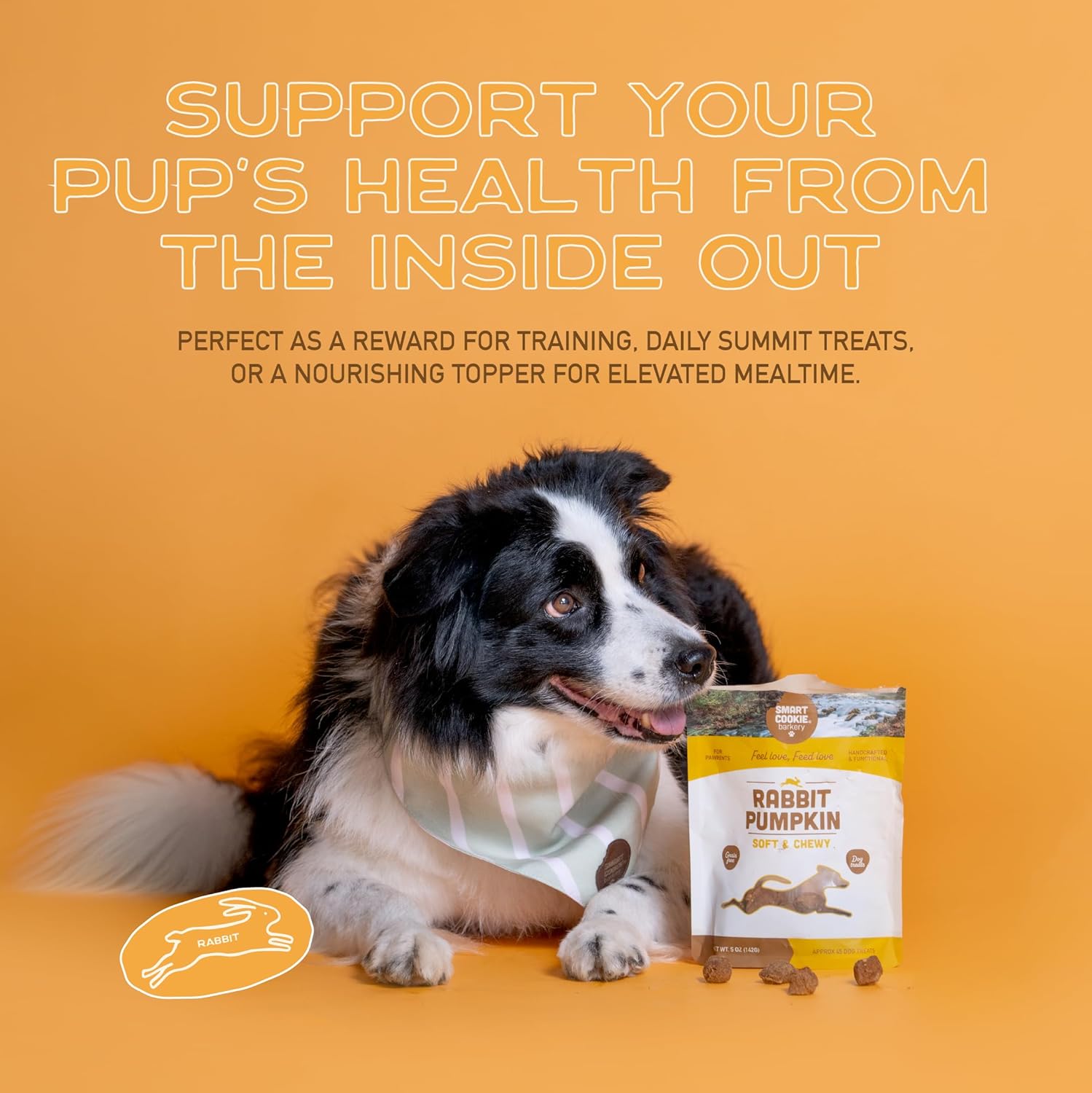 Smart Cookie Barkery Rabbit & Pumpkin Grain-Free Dog Treats, 5-oz bag