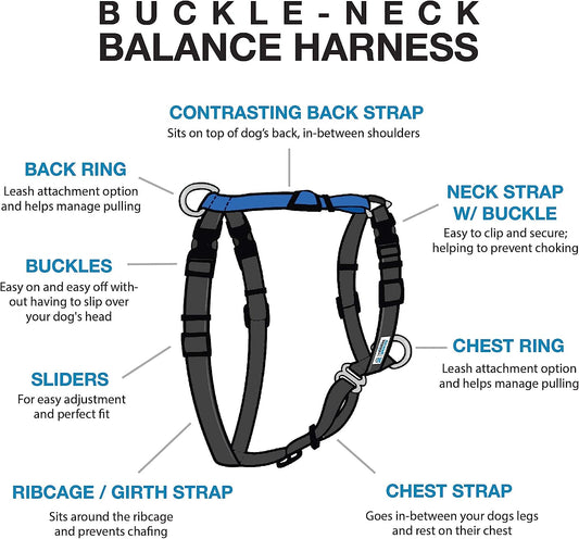 Balance Harness