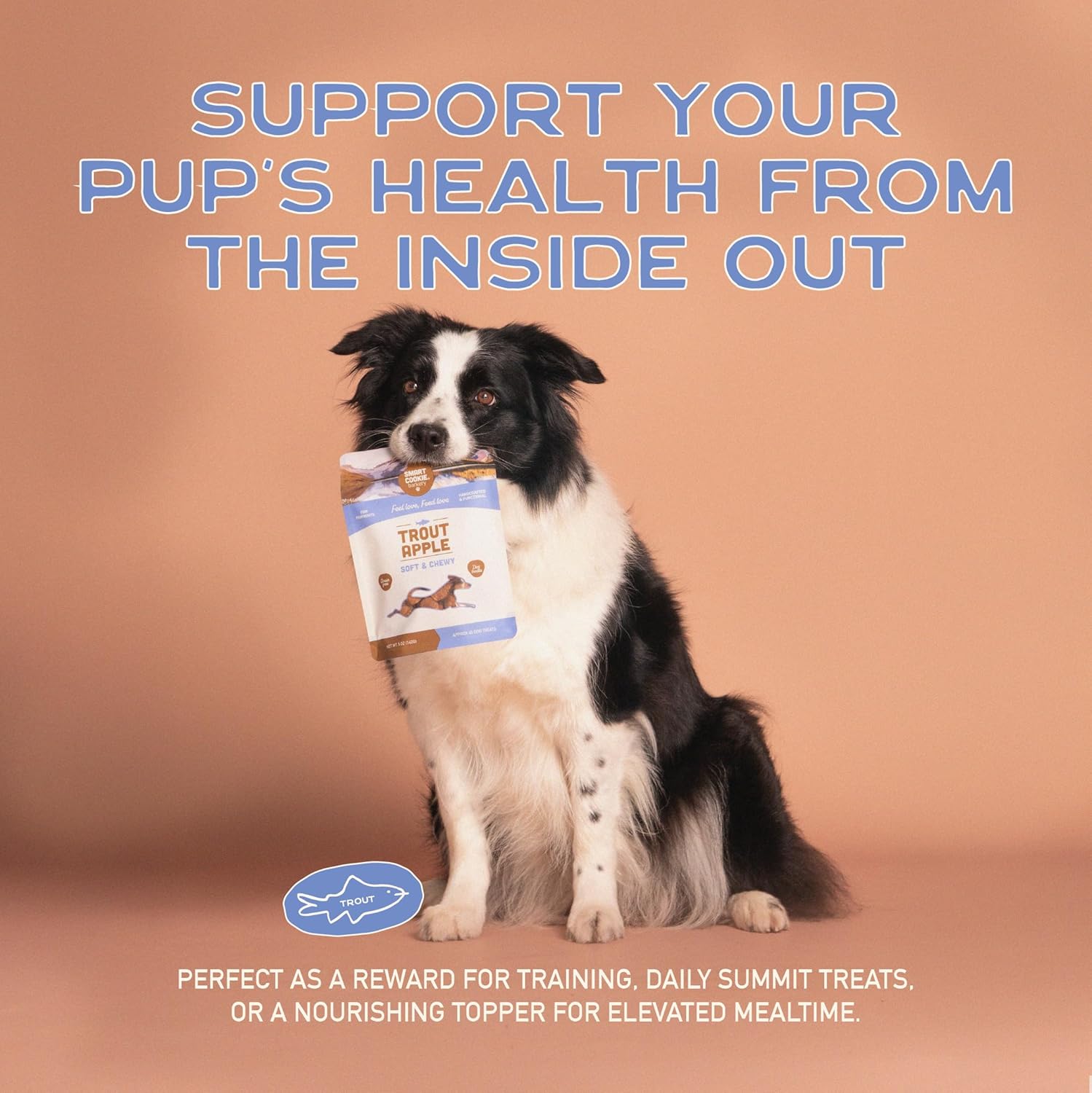 Smart Cookie Barkery Trout & Apple Grain-Free Dog Treats, 5-oz bag