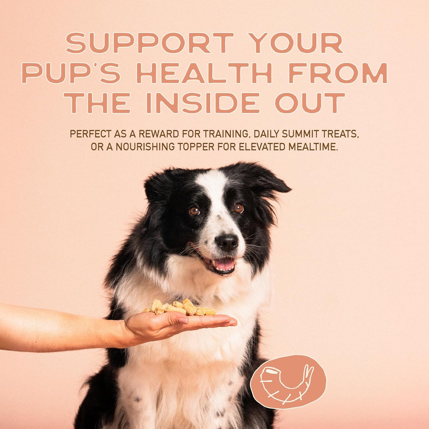 Smart Cookie Barkery Shrimp & Coconut Grain-Free Dog Treats, 5-oz bag