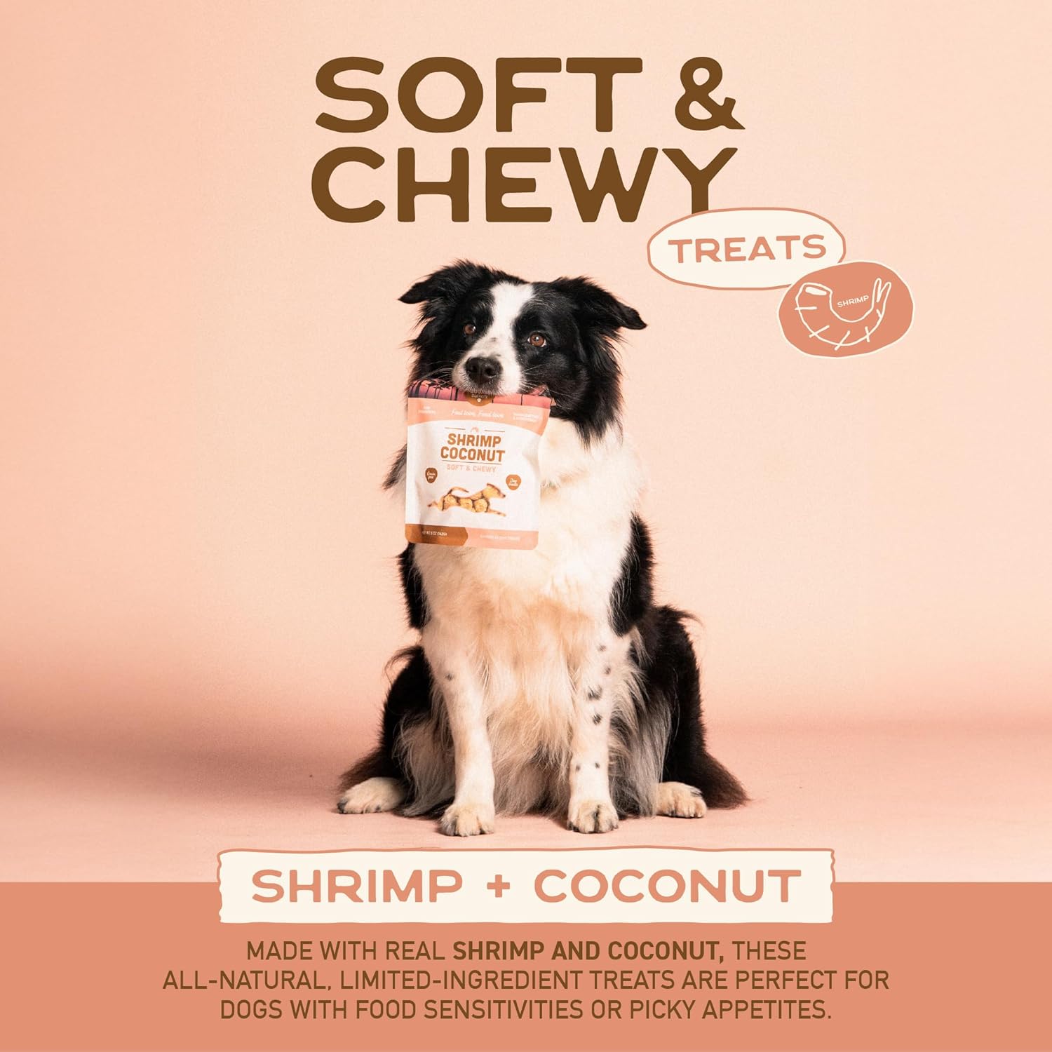 Smart Cookie Barkery Shrimp & Coconut Grain-Free Dog Treats, 5-oz bag