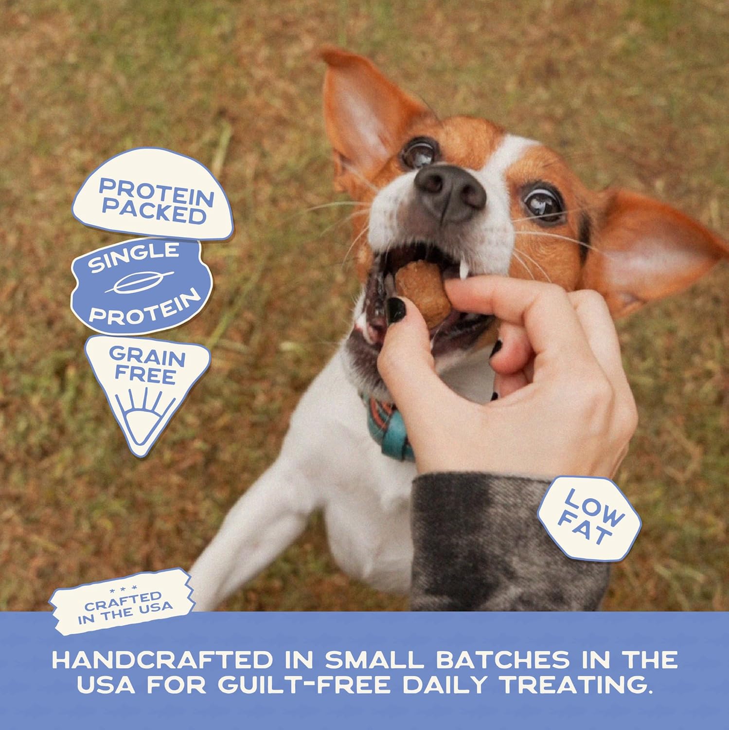 Smart Cookie Barkery Trout & Apple Grain-Free Dog Treats, 5-oz bag