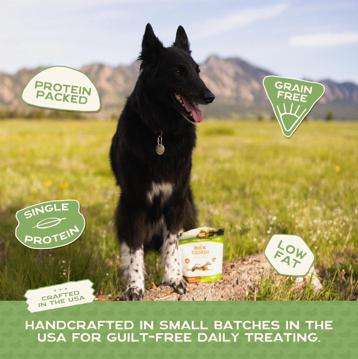 Smart Cookie Barkery Duck & Squash Grain-Free Dog Treats, 5-oz bag