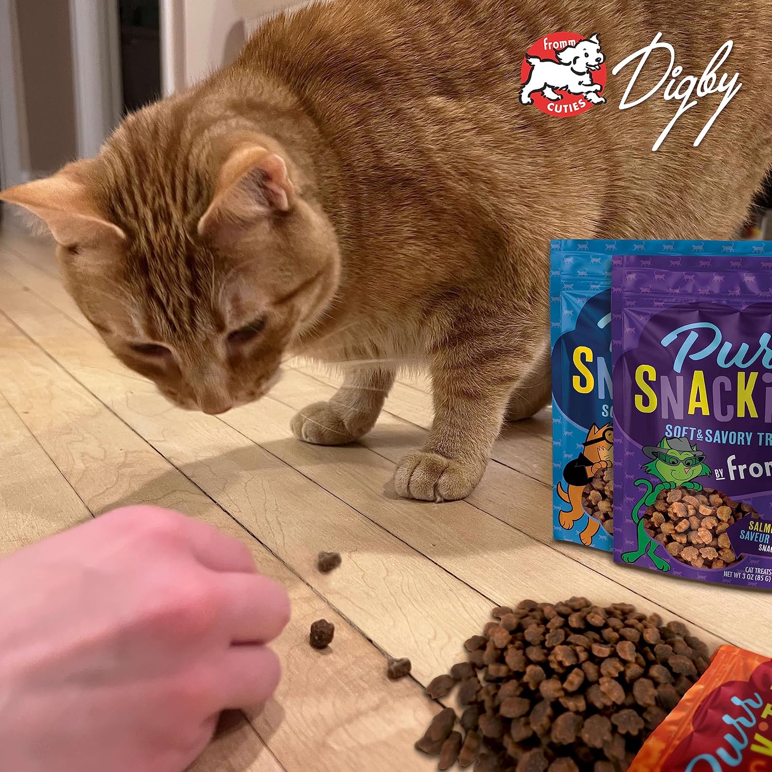PurrSnackitty Salmon Flavor Snackitties Cat Treats 3oz