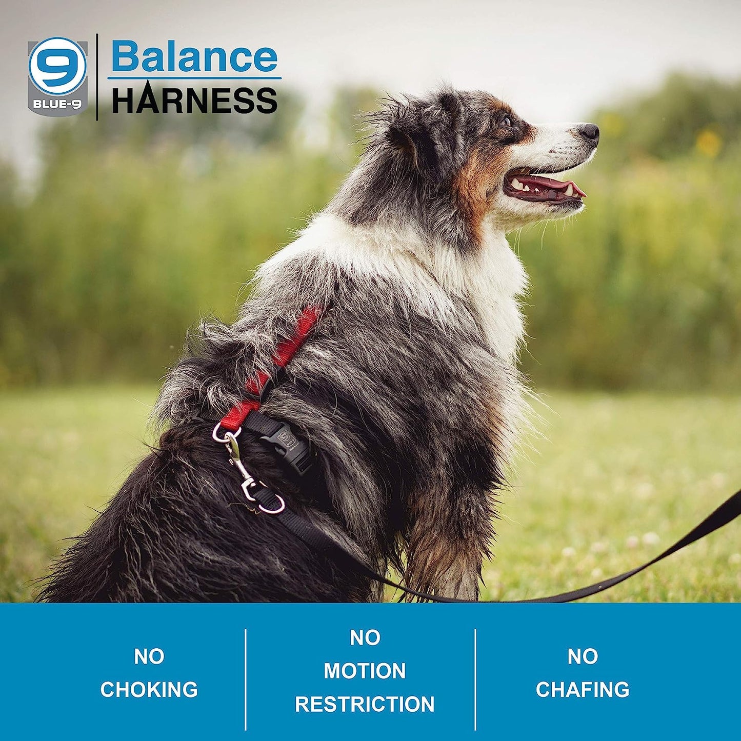 Balance Harness