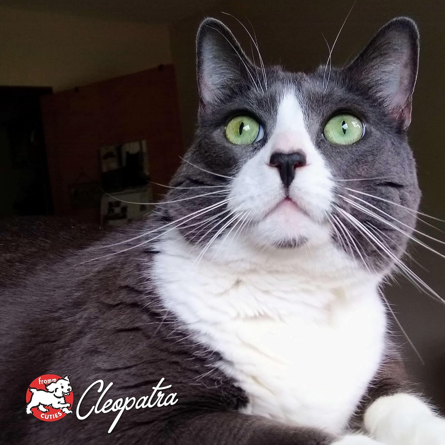 PurrSnackitty Liver Flavor Snackitties Cat Treats 3oz