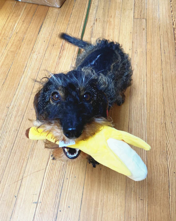 Crinkly Banana Dog Toy