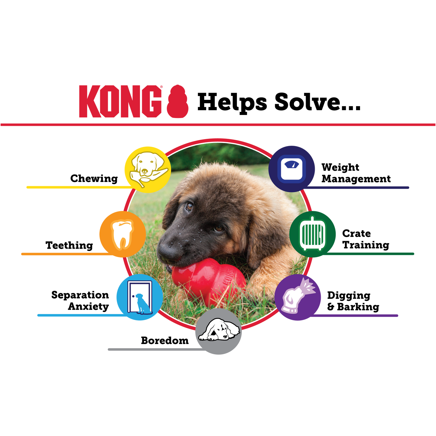 KONG® Extreme