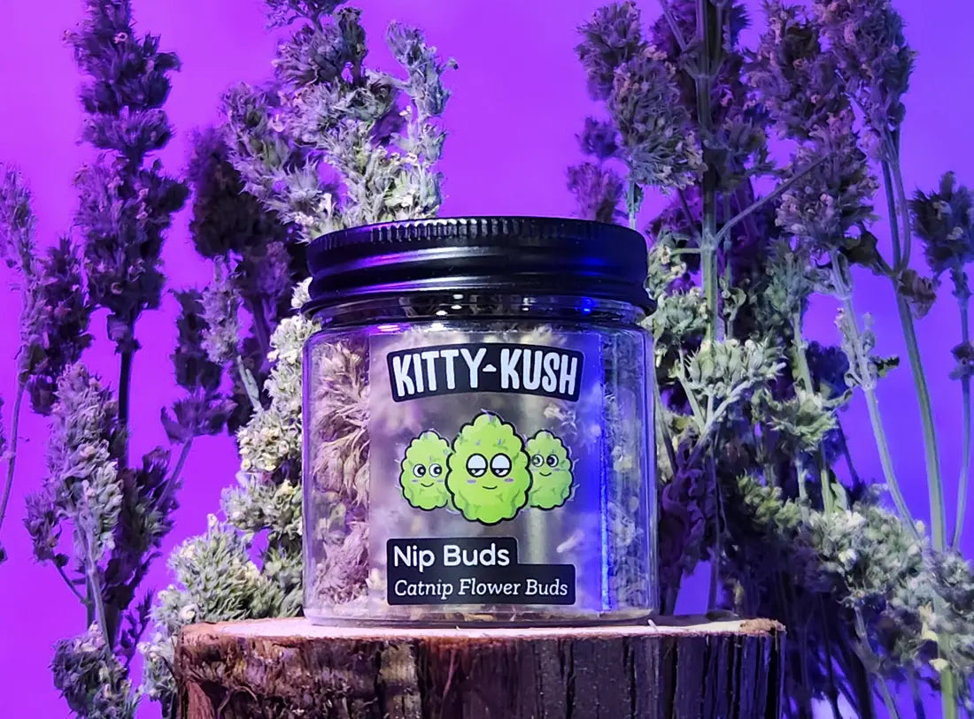 Kitty Kush Nip Buds: Catnip Flower Buds & Grinder
