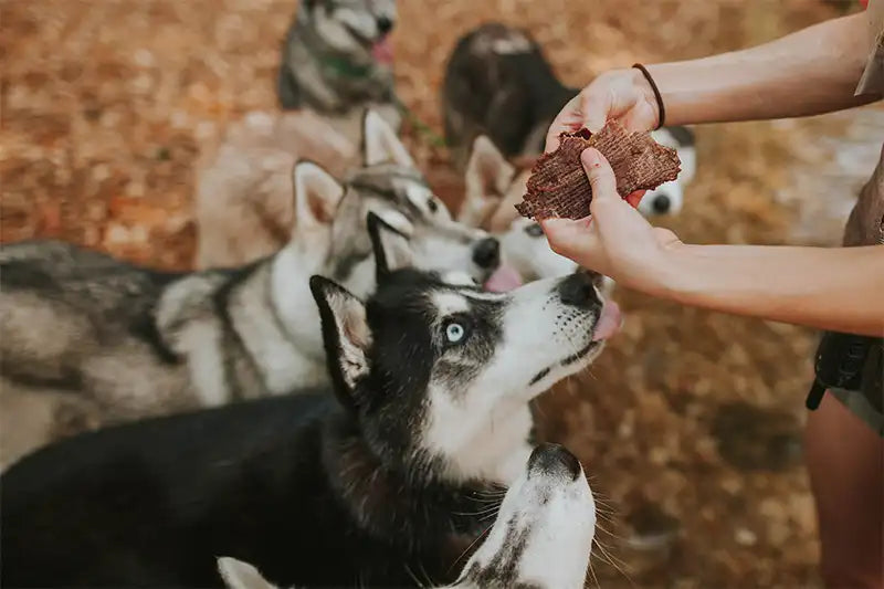 Farm Hounds Duck Jerky 3.5oz