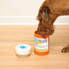 BigMouth "Prescription" Treat Jar
