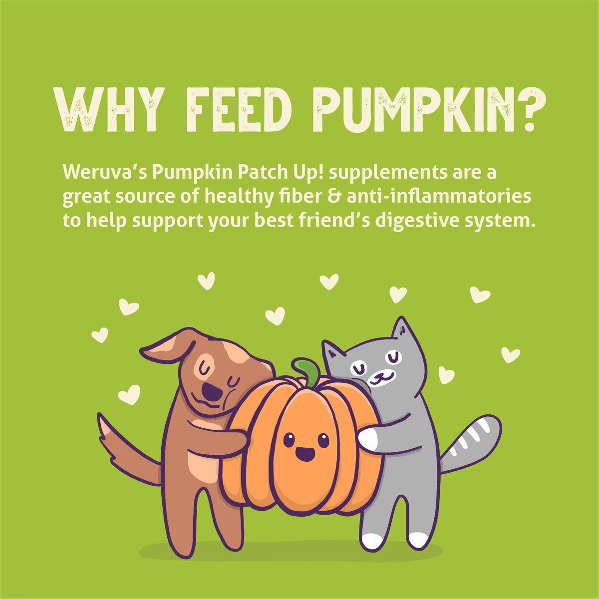 Weruva Pumpkin Patch Up! Dog & Cat Food Supplement Pouch, 2.80oz