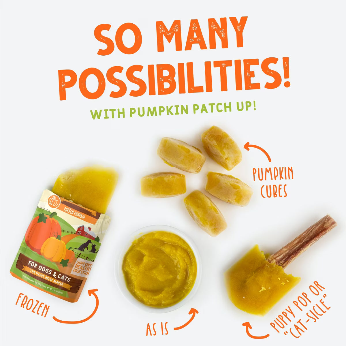 Weruva Pumpkin Patch Up! Dog & Cat Food Supplement Pouch, 2.80oz