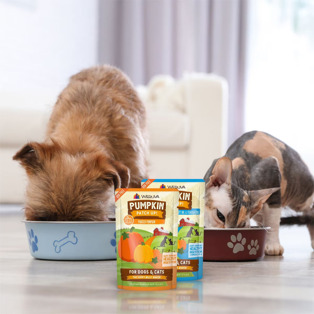 Weruva Pumpkin Patch Up! Dog & Cat Food Supplement Pouch, 2.80oz