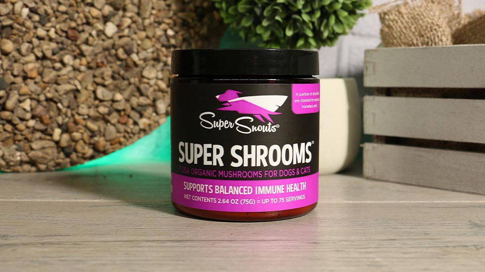 Super Snouts Super Shrooms Immune Supplement for Dogs & Cats