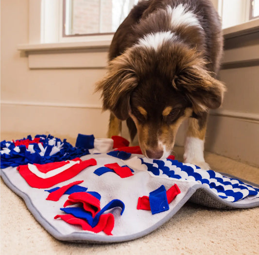 Fun House Snuffle Mat